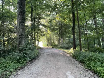 Camp photo